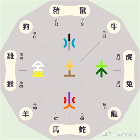 生肖五行五行相生相克|生肖和五行之间的关系